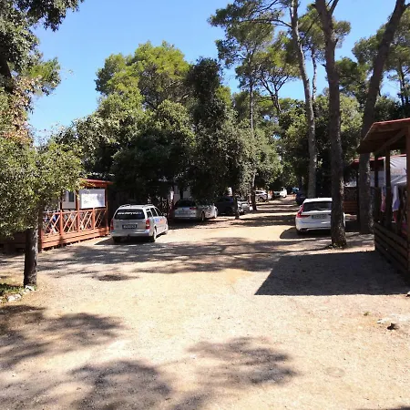 Cherry Mobile Homes Classic Eurohouse Park Soline Holiday home *